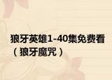 狼牙英雄1-40集免费看（狼牙魔咒）