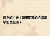 蔑字的拼音（蔑组词蔑的组词蔑字怎么组词）