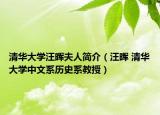 清华大学汪晖夫人简介（汪晖 清华大学中文系历史系教授）
