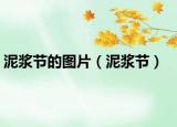 泥浆节的图片（泥浆节）