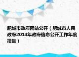 肥城市政府网站公开（肥城市人民政府2014年政府信息公开工作年度报告）