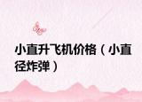 小直升飞机价格（小直径炸弹）