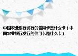 中国农业银行发行的信用卡是什么卡（中国农业银行发行的信用卡是什么卡）