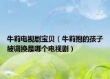 牛莉电视剧宝贝（牛莉抱的孩子被调换是哪个电视剧）
