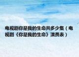 电视剧你是我的生命共多少集（电视剧《你是我的生命》演员表）