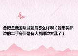 合肥金地国际城到底怎么样啊（我想买那边的二手房但是有人说那边太乱了）
