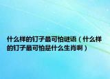 什么样的钉子最可怕谜语（什么样的钉子最可怕是什么生肖啊）