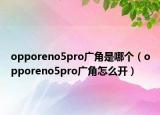 opporeno5pro广角是哪个（opporeno5pro广角怎么开）