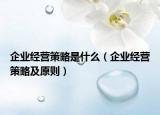 企业经营策略是什么（企业经营策略及原则）