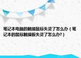 笔记本电脑的触摸鼠标失灵了怎么办（笔记本的鼠标触摸板失灵了怎么办?）