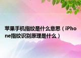 苹果手机指纹是什么意思（iPhone指纹识别原理是什么）