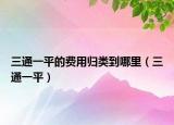 三通一平的费用归类到哪里（三通一平）