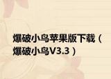 爆破小鸟苹果版下载（爆破小鸟V3.3）