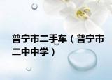 普宁市二手车（普宁市二中中学）