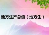 地方生产总值（地方生）