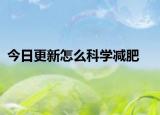 今日更新怎么科学减肥