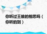 你听过王维的相思吗（你听的到）
