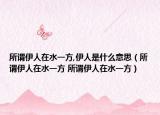 所谓伊人在水一方,伊人是什么意思（所谓伊人在水一方 所谓伊人在水一方）
