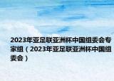 2023年亚足联亚洲杯中国组委会专家组（2023年亚足联亚洲杯中国组委会）