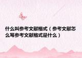什么叫参考文献格式（参考文献怎么写参考文献格式是什么）