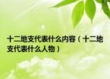 十二地支代表什么内容（十二地支代表什么人物）
