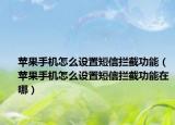 苹果手机怎么设置短信拦截功能（苹果手机怎么设置短信拦截功能在哪）