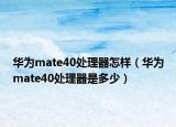 华为mate40处理器怎样（华为mate40处理器是多少）