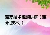 蓝牙技术视频讲解（蓝牙[技术]）