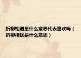 折柳相送是什么意思代表喜欢吗（折柳相送是什么意思）