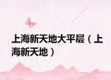 上海新天地大平层（上海新天地）