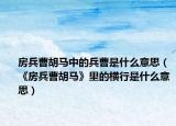 房兵曹胡马中的兵曹是什么意思（《房兵曹胡马》里的横行是什么意思）
