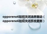 opporeno6如何关闭消息振动（opporeno6如何关闭系统更新）