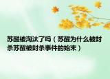 苏醒被淘汰了吗（苏醒为什么被封杀苏醒被封杀事件的始末）
