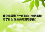我究竟做错了什么歌曲（我到底做错了什么 温馨燕儿演唱歌曲）