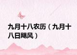 九月十八农历（九月十八日飓风）