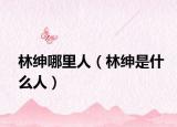 林绅哪里人（林绅是什么人）