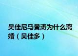 吴佳尼马景涛为什么离婚（吴佳多）