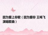 因为爱上你歌（因为爱你 王鸣飞演唱歌曲）