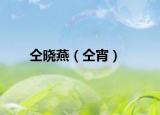 仝晓燕（仝宵）