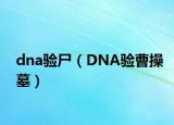 dna验尸（DNA验曹操墓）