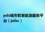 pds城市智慧能源服务平台（pdsc）