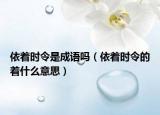 依着时令是成语吗（依着时令的着什么意思）