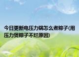 今日更新电压力锅怎么煮粽子(用压力煲粽子不烂原因)