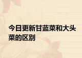 今日更新甘蓝菜和大头菜的区别
