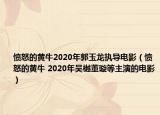愤怒的黄牛2020年郭玉龙执导电影（愤怒的黄牛 2020年吴樾董璇等主演的电影）