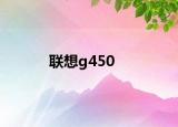 联想g450