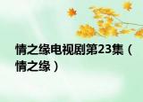 情之缘电视剧第23集（情之缘）