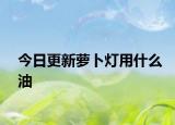 今日更新萝卜灯用什么油