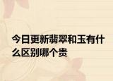 今日更新翡翠和玉有什么区别哪个贵