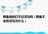 鳄鱼真的打不过河马吗（鳄鱼不会伤河马为什么）